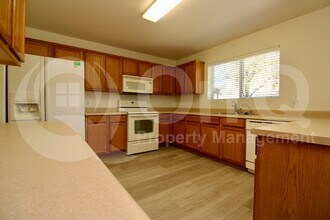 1339 W Camino Mesa Sonorense in Sahuarita, AZ - Building Photo - Building Photo