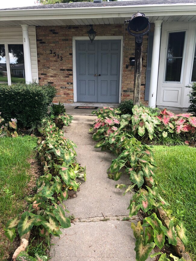 3513 Lake Villa Dr Rentals in Metairie, LA