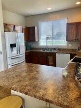 817 Lakebrook Ct in Windsor, CO - Building Photo - Building Photo