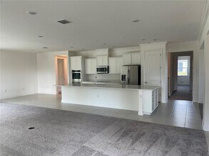 10060 Dolphin Gull Cir in Thonotosassa, FL - Building Photo - Building Photo