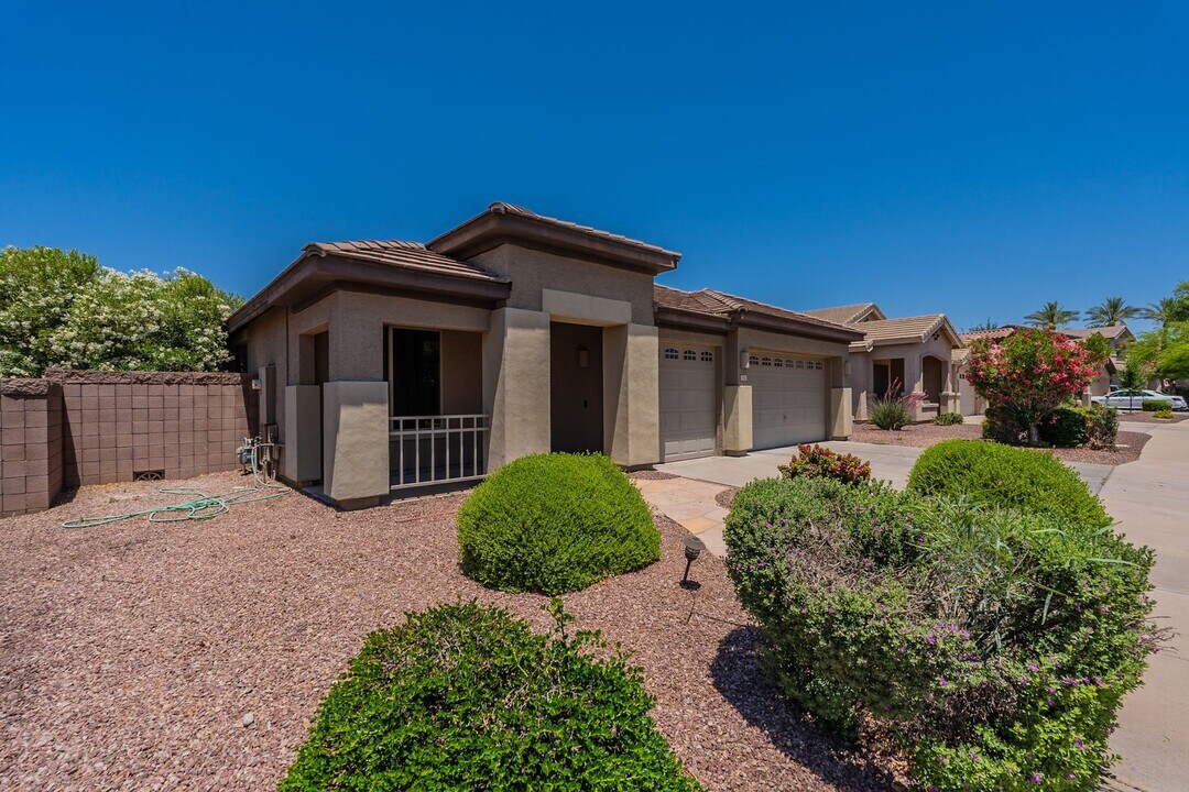 1302 E Ebony Dr in Chandler, AZ - Building Photo
