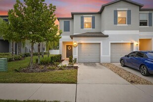 9643 Mulberry Marsh Ln in Sun City Center, FL - Building Photo