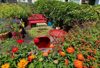 California Apartments in Berkeley, CA - Foto de edificio - Building Photo
