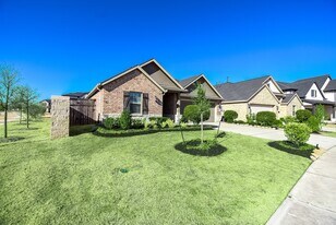 31438 Vineyard Creek Dr in Fulshear, TX - Building Photo