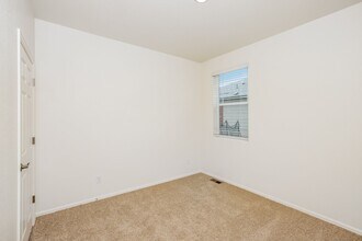 1721 Summer Bloom Dr in Windsor, CO - Building Photo - Building Photo