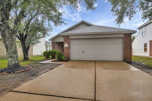 12319 Chute Forest Ct in Houston, TX - Building Photo