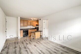 3850 Park Ave in St. Louis, MO - Foto de edificio - Building Photo