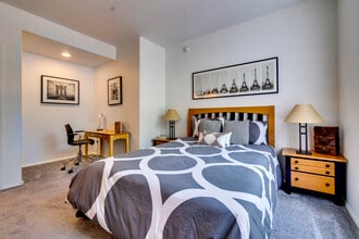 Arioso City Lofts in Phoenix, AZ - Foto de edificio - Interior Photo