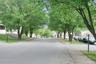 Lily Grace South in Chattanooga, TN - Building Photo - Building Photo