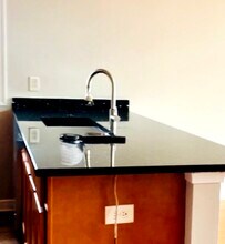 214 W 31st St in Chicago, IL - Building Photo - Building Photo