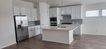 13417 William Tyler Wy in Manor, TX - Building Photo - Building Photo