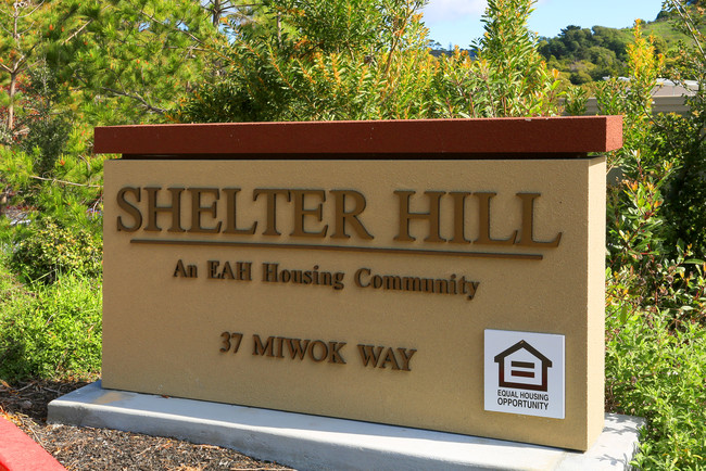 Shelter Hill in Mill Valley, CA - Foto de edificio - Building Photo