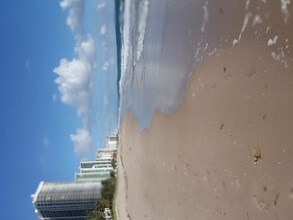 3900 Galt Ocean Dr-Unit -803 in Fort Lauderdale, FL - Building Photo - Building Photo