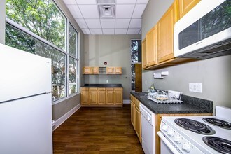 125-161 S Lexington Ave in Asheville, NC - Building Photo - Building Photo
