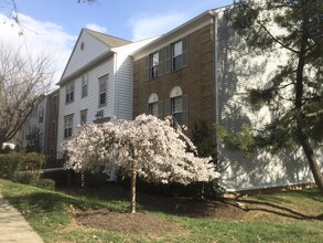 7753 New Providence Dr, Unit 84 in Falls Church, VA - Building Photo - Building Photo