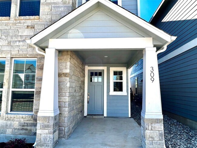 309 Toddy Wy in Leander, TX - Building Photo - Building Photo