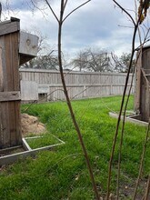 12 Caprice Ln in Lampasas, TX - Building Photo - Building Photo