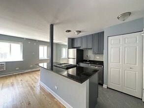 663 W Grace St in Chicago, IL - Foto de edificio - Building Photo