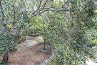 1359 Curlew Rd in Dunedin, FL - Building Photo - Building Photo