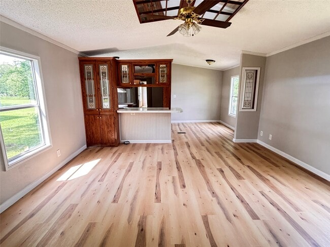 property at 229 Morris Ln