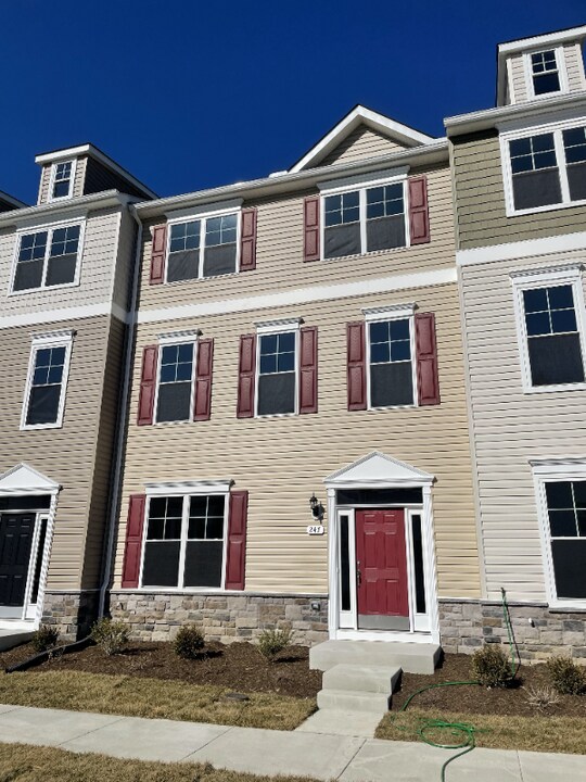247 Jessica Lyn Ave in Stevensville, MD - Building Photo