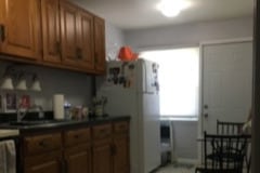 488 E 5th Ct, Unit B in Des Plaines, IL - Foto de edificio - Building Photo