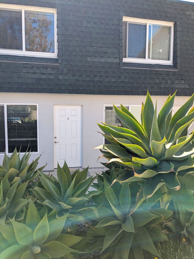 property at 641 Shasta Ave