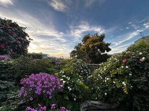 19 Miramar Ave, Unit Studio BD in San Francisco, CA - Building Photo - Building Photo