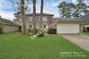 17210 Colony Creek Dr in Spring, TX - Building Photo
