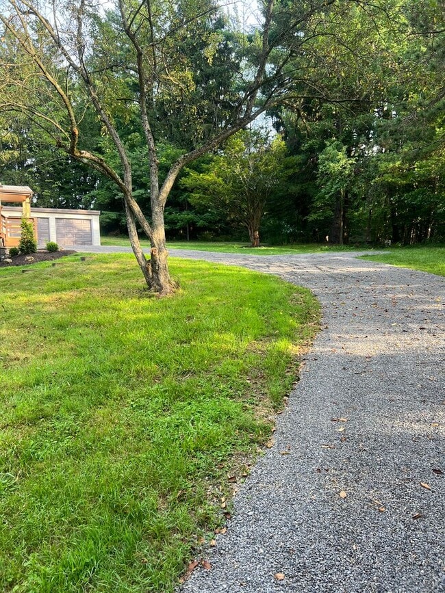 20825 Rte 19 in Cranberry Township, PA - Building Photo - Building Photo