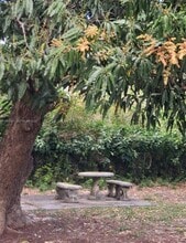 1043 NE 114th St in Biscayne Park, FL - Building Photo - Building Photo