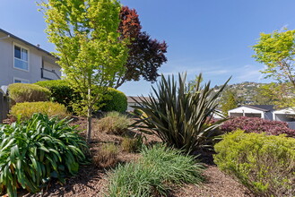 Vista Belvedere in Tiburon, CA - Foto de edificio - Building Photo