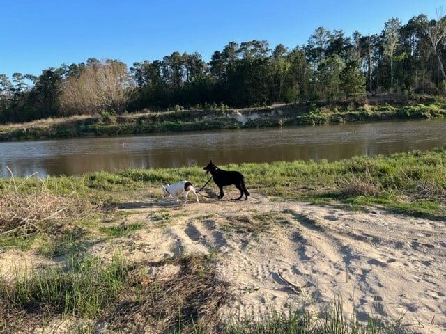 property at 4639 Sequoia Echo Dr