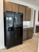 19736 Lonesome Pine Dr in Land O Lakes, FL - Building Photo - Building Photo