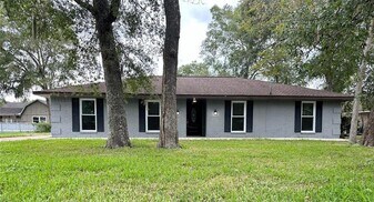 228 Oak Manor Dr in Alvin, TX - Building Photo