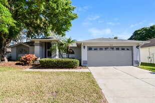 3512 Concho Ct in Sun City Center, FL - Building Photo