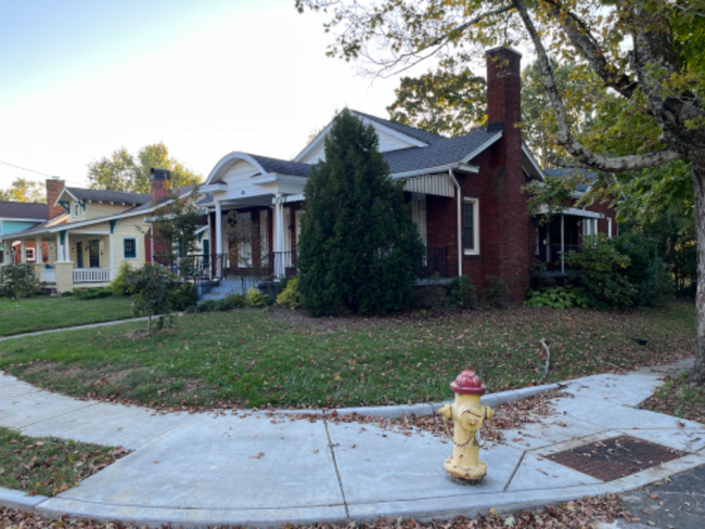 45 Vermont Ave in Asheville, NC - Building Photo - Building Photo