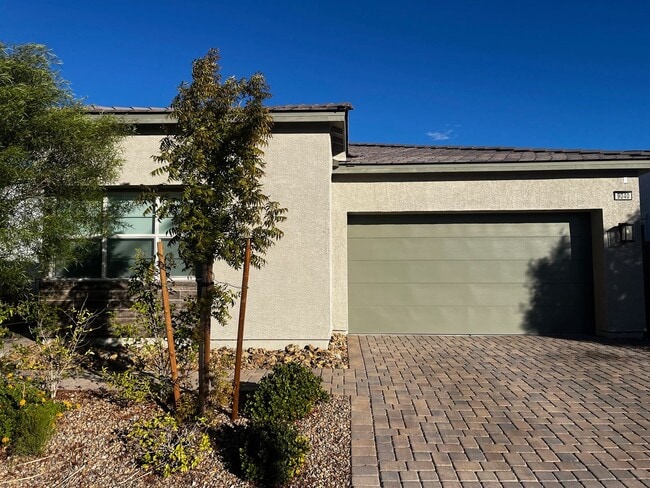 property at 9040 Skye Canyon Ranch St