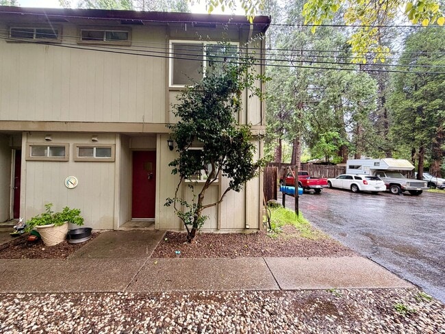 515 Nimrod St in Nevada City, CA - Building Photo - Building Photo