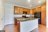 42735 Eildon Terrace in Ashburn, VA - Foto de edificio - Building Photo