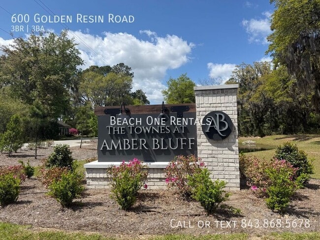 600 Golden Resin Road in Conway, SC - Building Photo - Building Photo