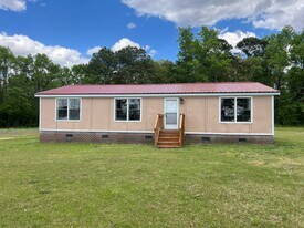 253 Chicken Ln in Salemburg, NC - Building Photo