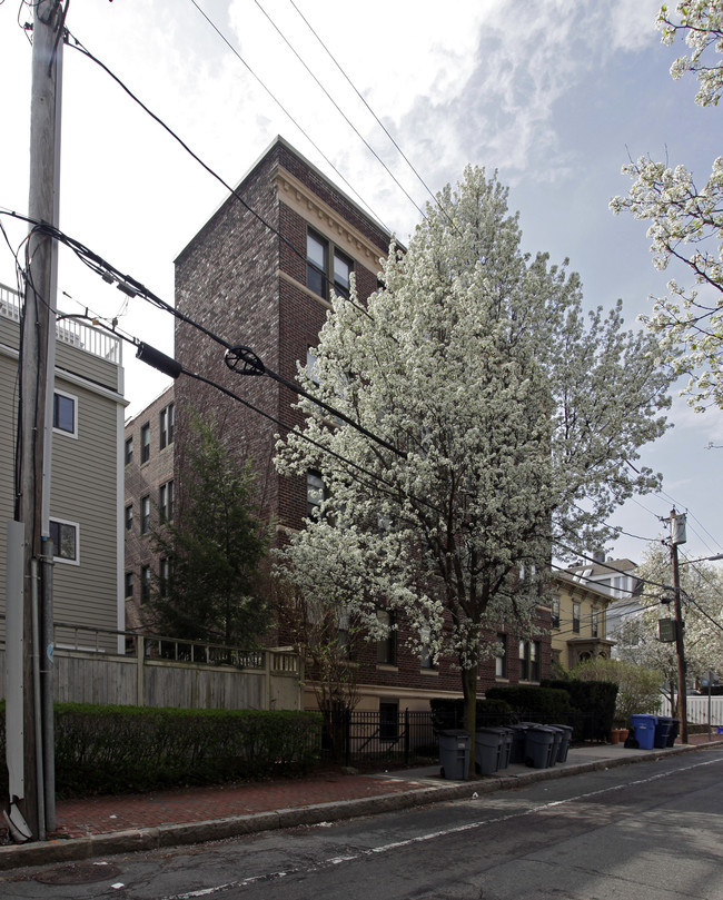 Cambridge Community Housing in Cambridge, MA - Building Photo - Building Photo