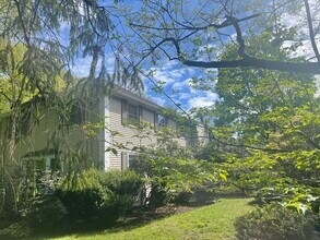 4 Paddock Ln in Lexington, MA - Building Photo - Building Photo