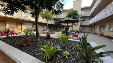 Magnolia Apartments in Sherman Oaks, CA - Building Photo - Building Photo