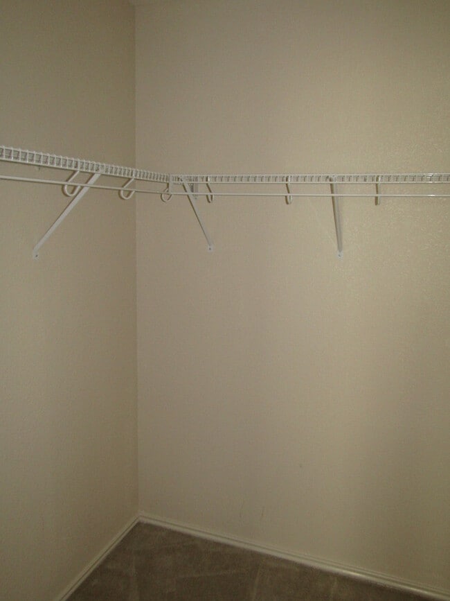 408 N Cascades Ave in Pflugerville, TX - Building Photo - Building Photo