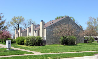 Pine Tree Lane Apartments