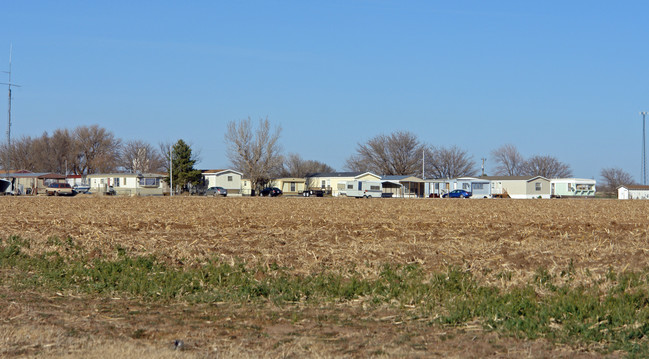 1204 Walnut St in Idalou, TX - Building Photo - Building Photo