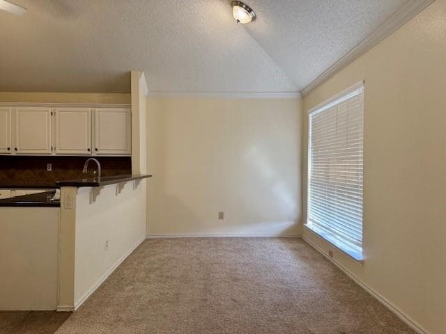 3139 Renaissance Dr in Dallas, TX - Building Photo - Building Photo