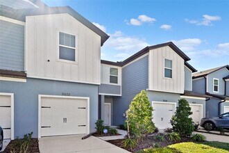 31332 Amberview Bnd in Wesley Chapel, FL - Building Photo - Building Photo